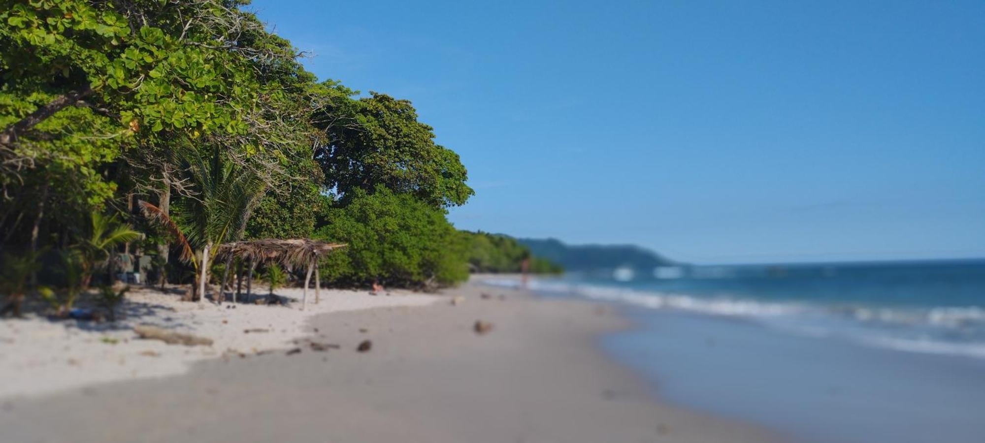Armadillo Eco Bungalows - Santa Teresa Playa Santa Teresa  Ngoại thất bức ảnh