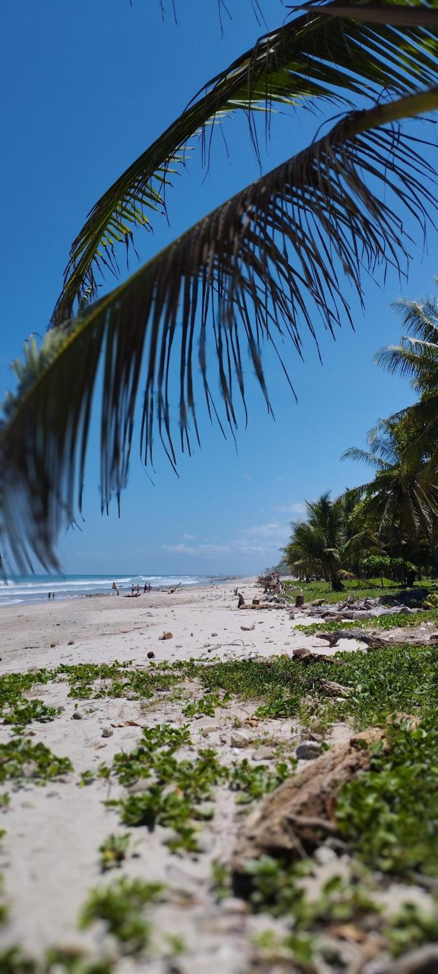 Armadillo Eco Bungalows - Santa Teresa Playa Santa Teresa  Ngoại thất bức ảnh